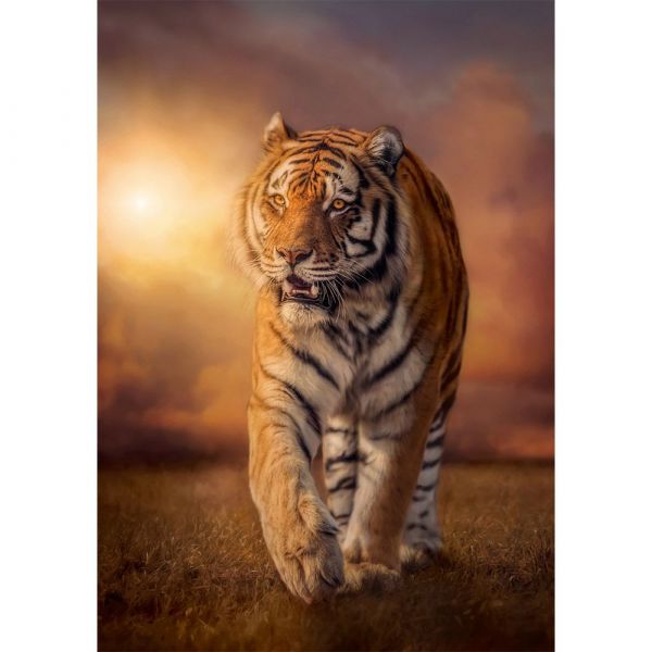 Puzzle 1500 piese Clementoni High Quality Collection Tiger 