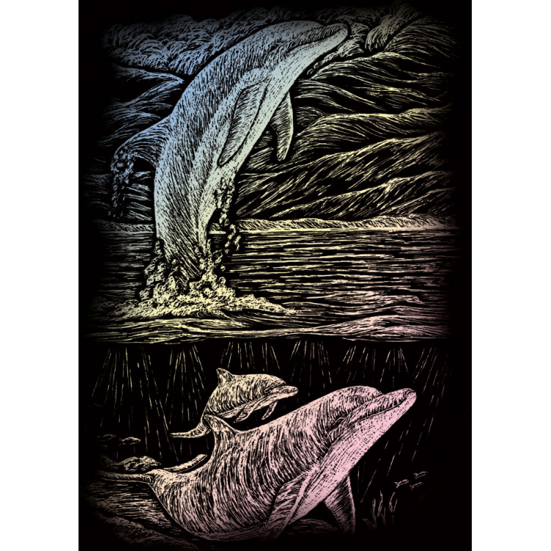 Set gravura mica pe folie holografica Royal Delfinul Jucaus 13×18 cm hippoland.ro