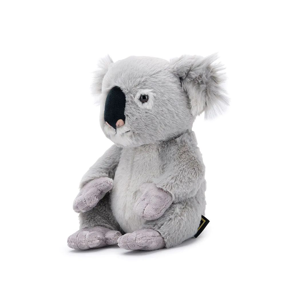 Jucarie de plus urs Koala National Geographic 25 cm