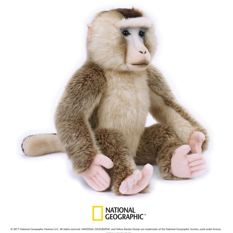 Maimuta cu coada de porc National Geografic 24 cm hippoland.ro