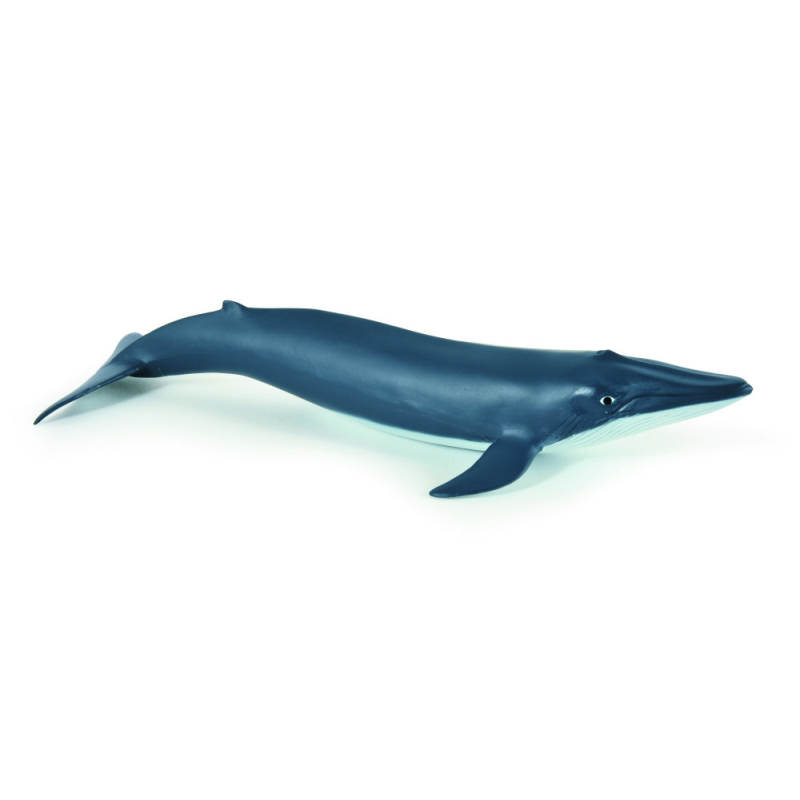 Pui balena albastra Papo hippoland.ro imagine 2022